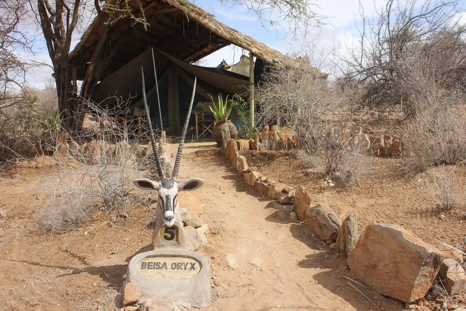 Lion’s Cave Camp tent approach with Beisa Oryx tent sign