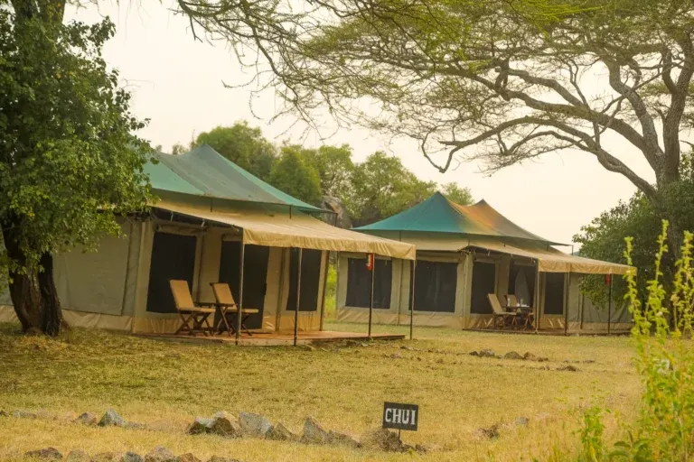 Kisura guest tent exterior