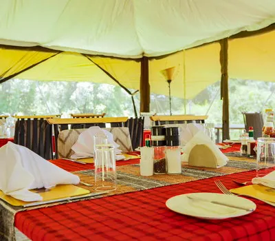 Porini Lion communal dining table beneath canvas