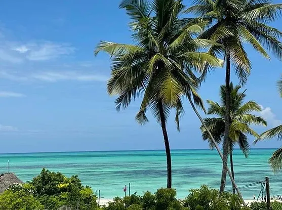 Sea view and palms from the villa