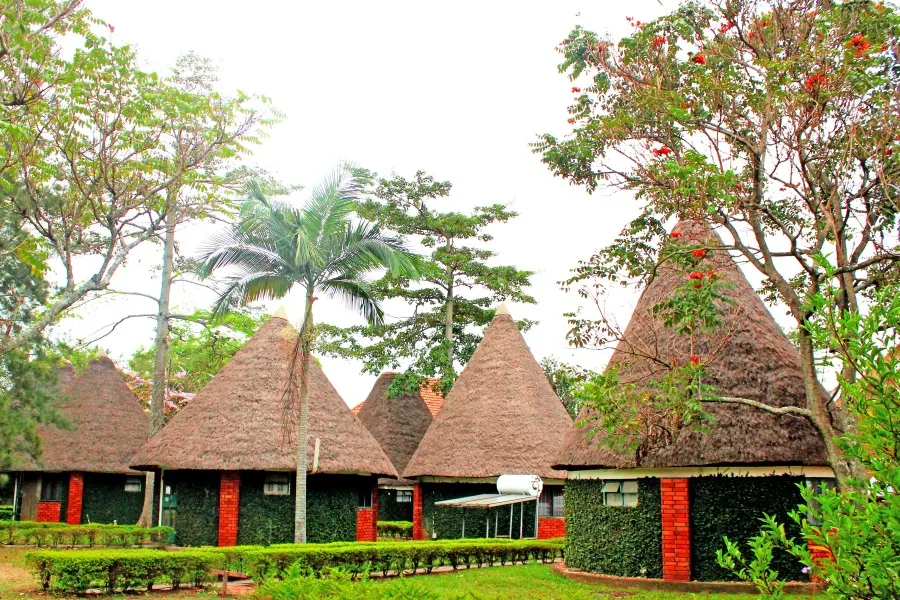 Grass-thatched bandas in the gardens