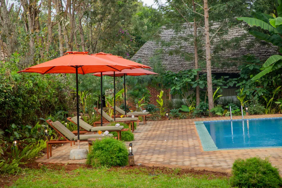 Lodge pool and gardens