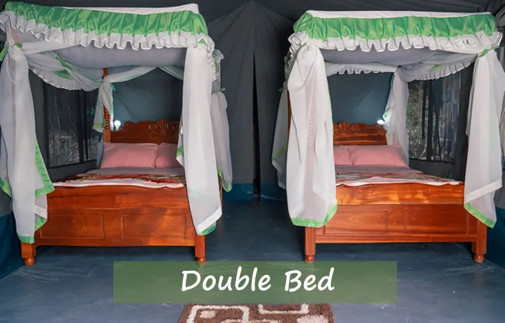 Miti Mingi tent interior with two netted beds