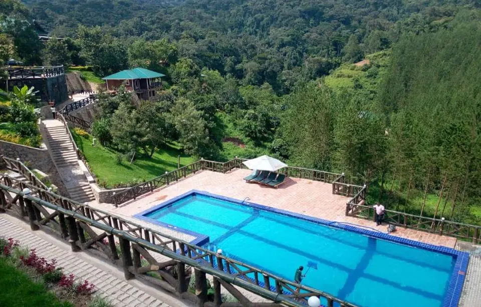 Rushaga Gorilla Lodge swimming pool and forest-facing hillside