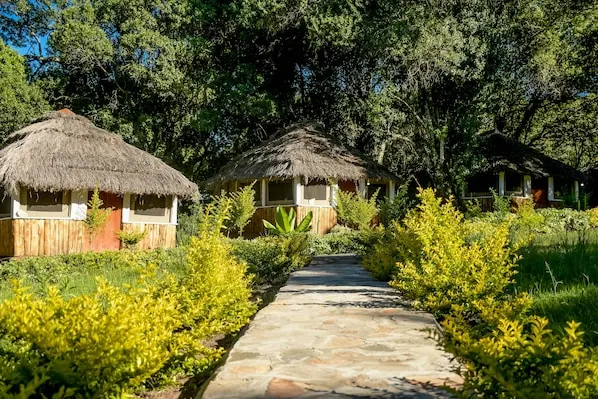 Garden path and thatched cottages at Giraffe Hills Mara Camp