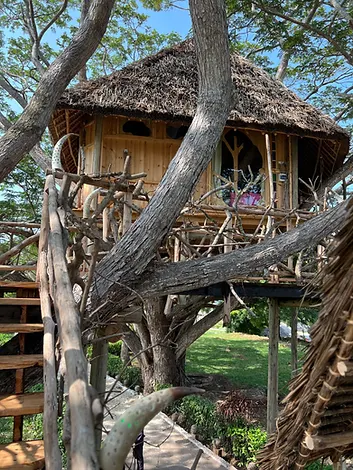 Antonio Beach Tree House Hotel & Spa photograph