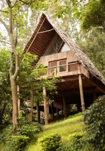 Karama hillside cabin exterior