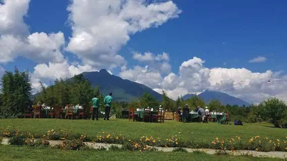 Outdoor dining in the grounds