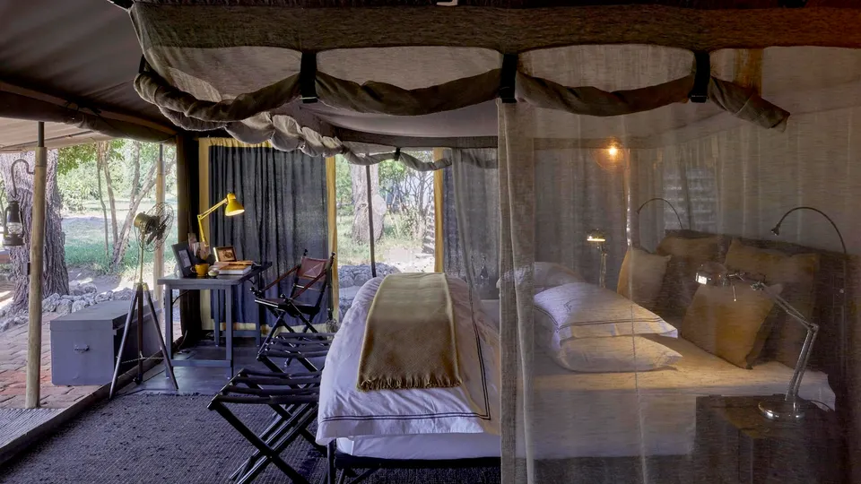 Forest Chem Chem tent bedroom