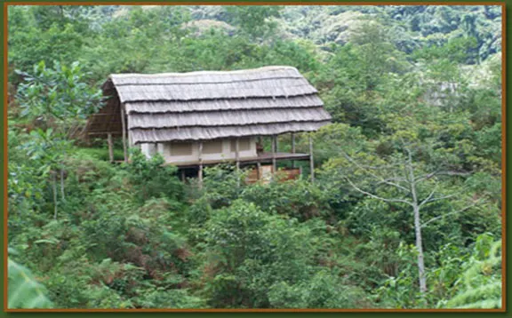 Cuckooland Tented Lodge photograph