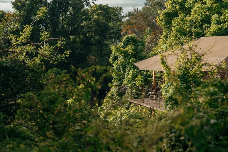 Raised forest accommodation exterior
