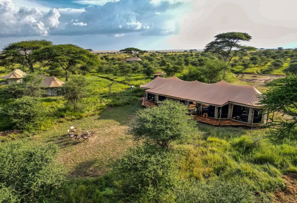 Olmara camp buildings among acacia trees