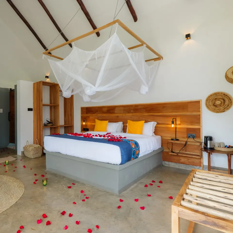 Double room and mosquito net