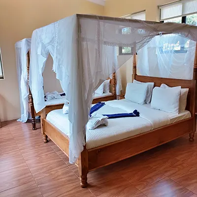 Guest bedroom with queen and single beds