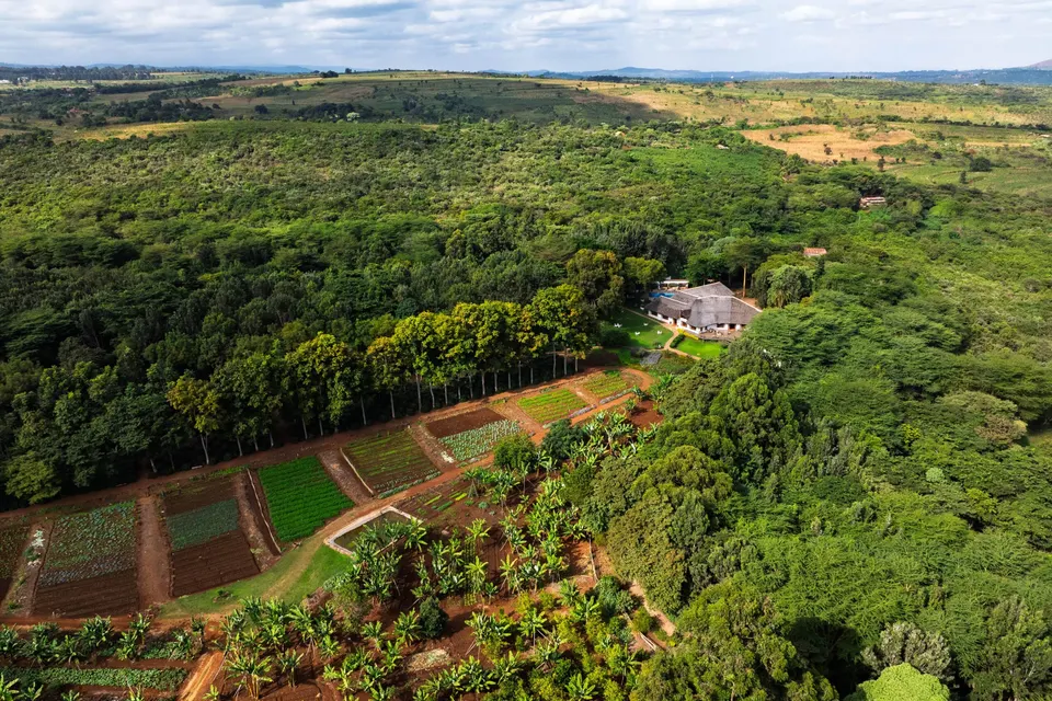 Ngorongoro Farm House plantation aerial view