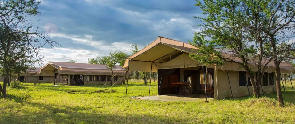 Canvas tents and lawns