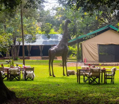 Nairobi Tented Camp – Karen photograph