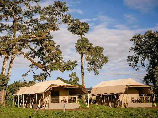 Main camp tents