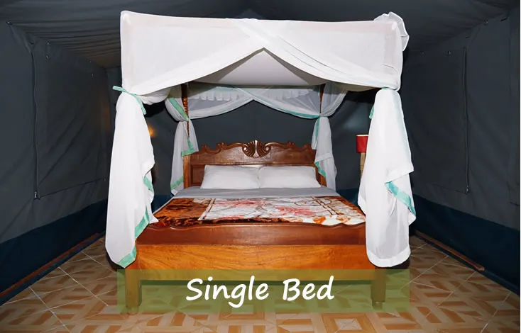 Miti Mingi tent interior with one netted bed