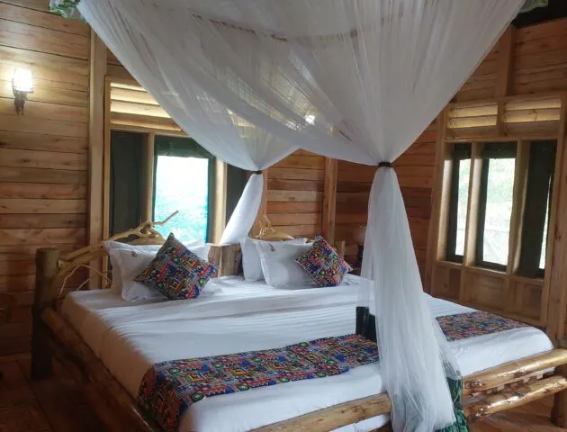 Deluxe double room with mosquito-netted bed