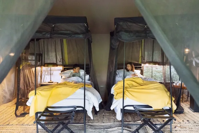 Forest Chem Chem family-tent twin-bed configuration