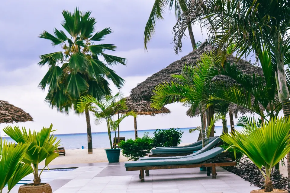Loungers by the pool and beach
