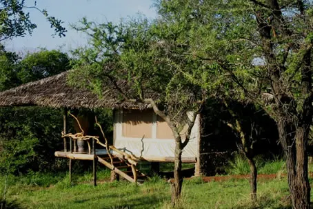 Tented chalet exterior and veranda among trees at Mbalageti