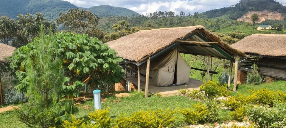 Deluxe Tented Rooms as labelled by operator