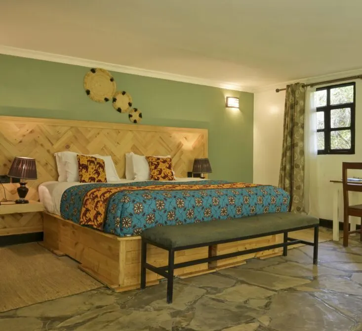 Da Vinci Gorilla Lodge photograph