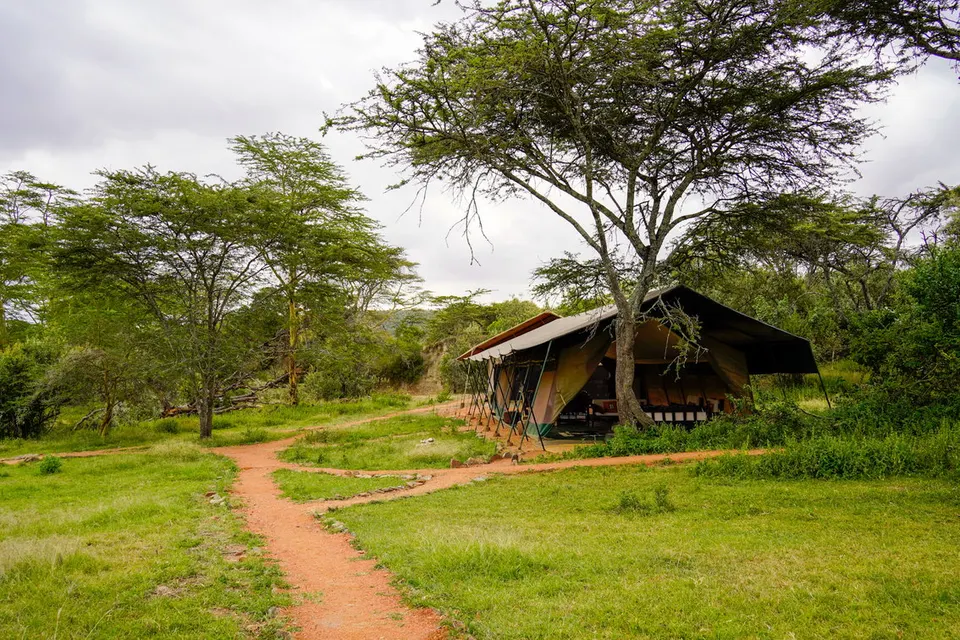 Camp public area and paths