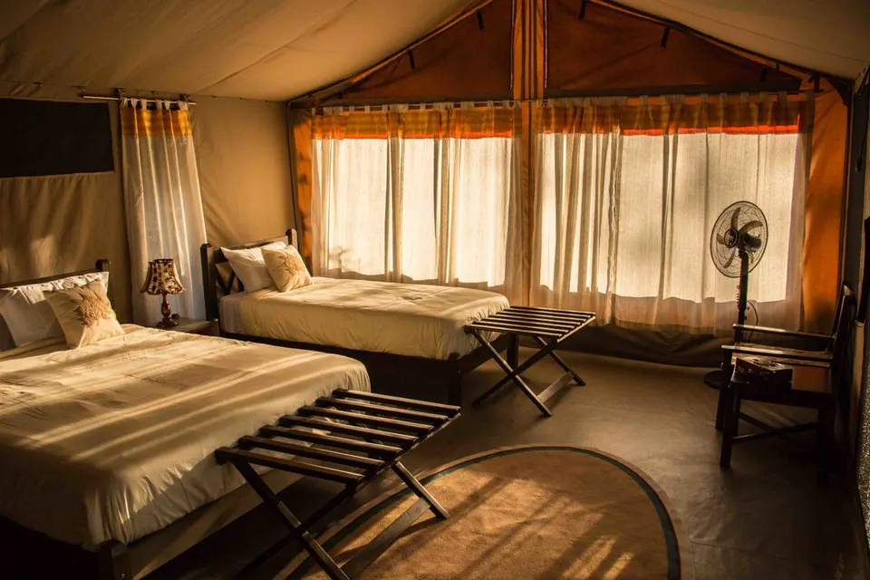 Guest tent beds and seating